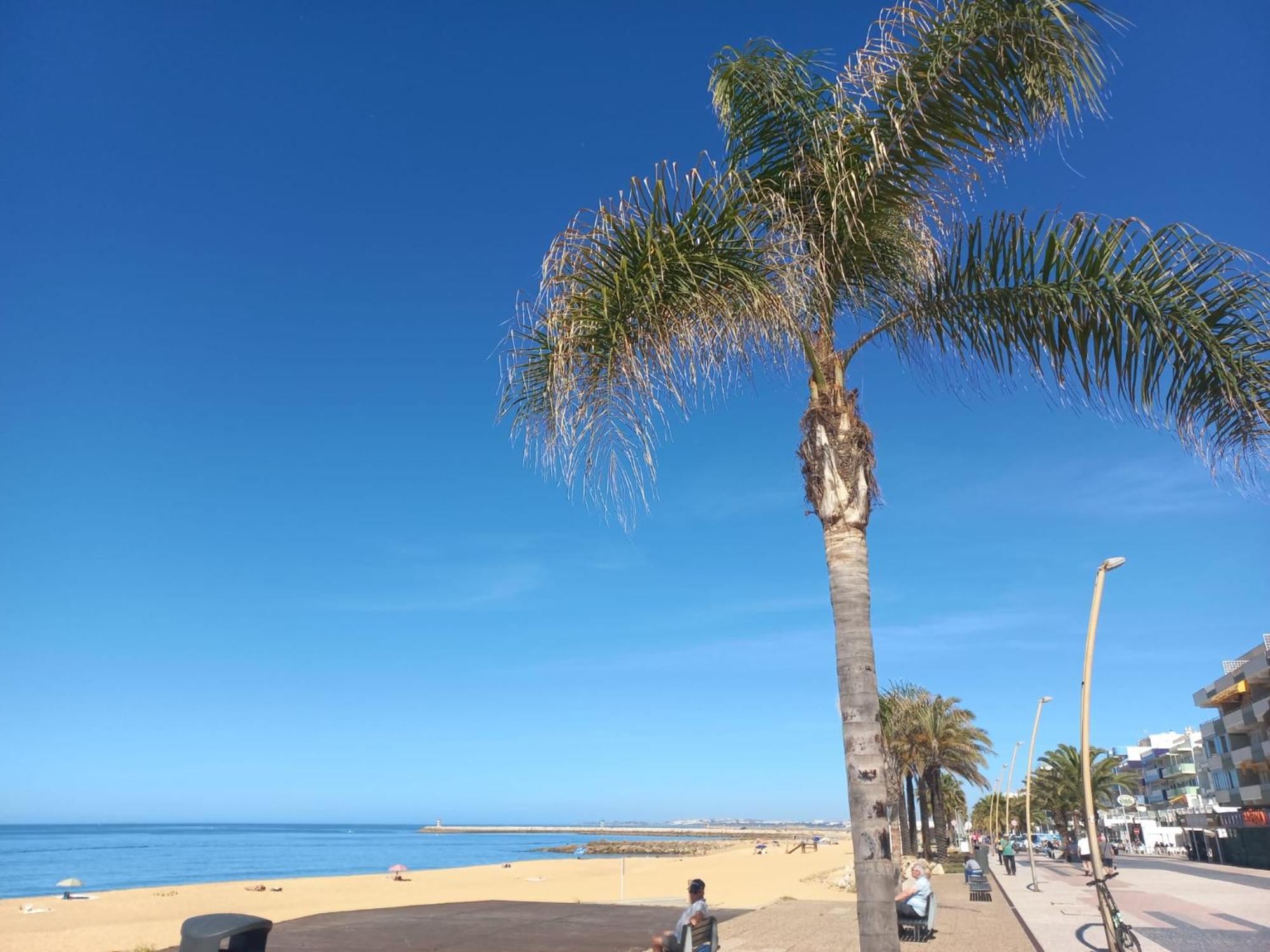 Mare Viva Beach Apartment Quarteira Zewnętrze zdjęcie